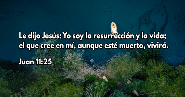 Le dijo Jesús- Yo soy la resurrección y la vida; el que cree en mí, aunque esté muerto, vivirá