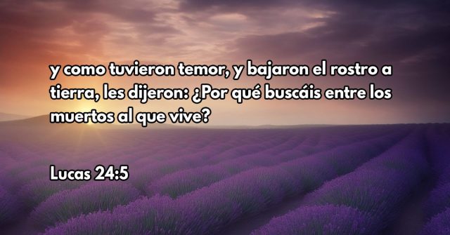 y como tuvieron temor, y bajaron el rostro a tierra, les dijeron: ¿Por qué buscáis entre los muertos al que vive?