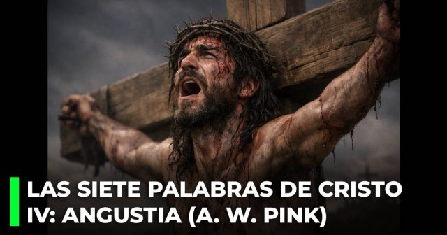 Las siete Palabras de Cristo en la cruz. IV_ La palabra de angustia